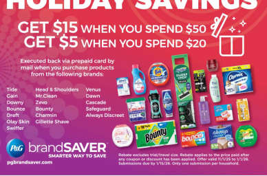 0_1762375033496_pg holiday rebate.jpg