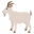 :goat: ๐