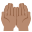 :palms_up_together_medium_skin_tone: 🤲🏽