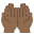 :palms_up_together_medium-dark_skin_tone: 🤲🏾